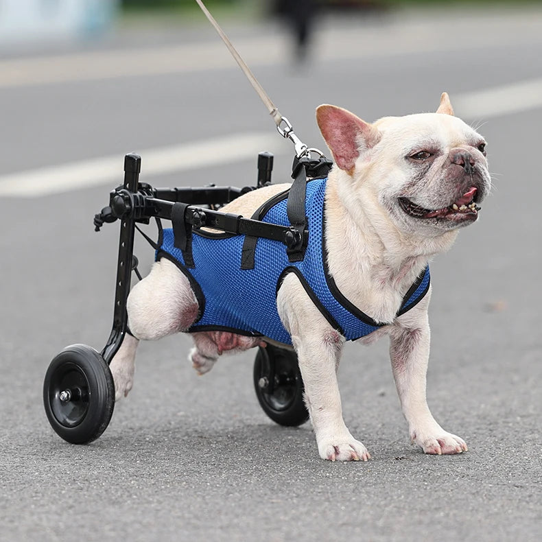 Adjustable Pet Wheelchair – Mobility Aid for Disabled Cats & Dogs