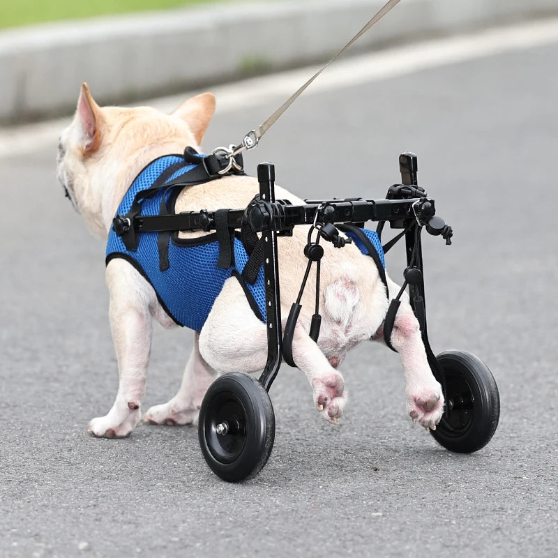 Adjustable Pet Wheelchair – Mobility Aid for Disabled Cats & Dogs