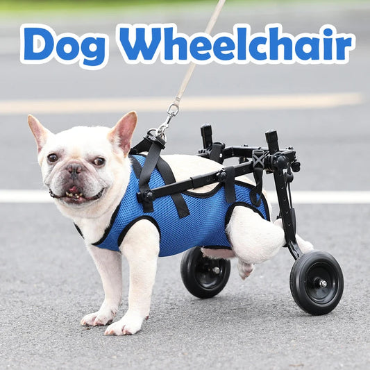 Adjustable Pet Wheelchair – Mobility Aid for Disabled Cats & Dogs
